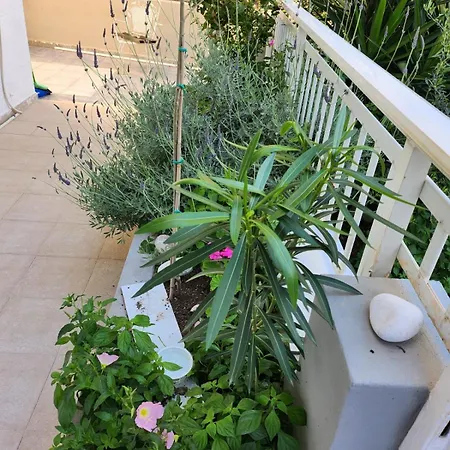 House Rosi In Rodos Apartament *